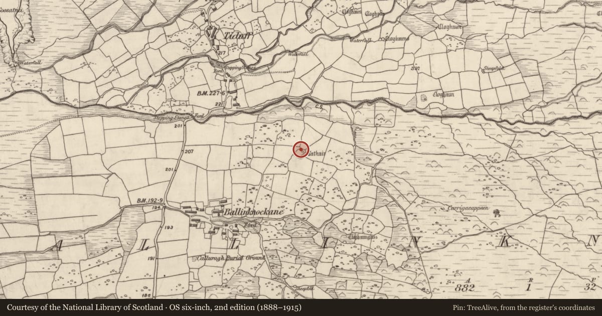 Ordnance Survey six-inch map, 2nd edition (1888–1915) covering the location of Hut site, Baile An Chnocáin (TC Cill Chuain), County Kerry, with a pin at the register's coordinates