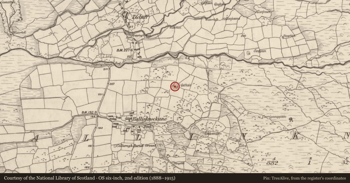 Ordnance Survey six-inch map, 2nd edition (1888–1915) covering the location of Hut site, Baile An Chnocáin (TC Cill Chuain), County Kerry, with a pin at the register's coordinates