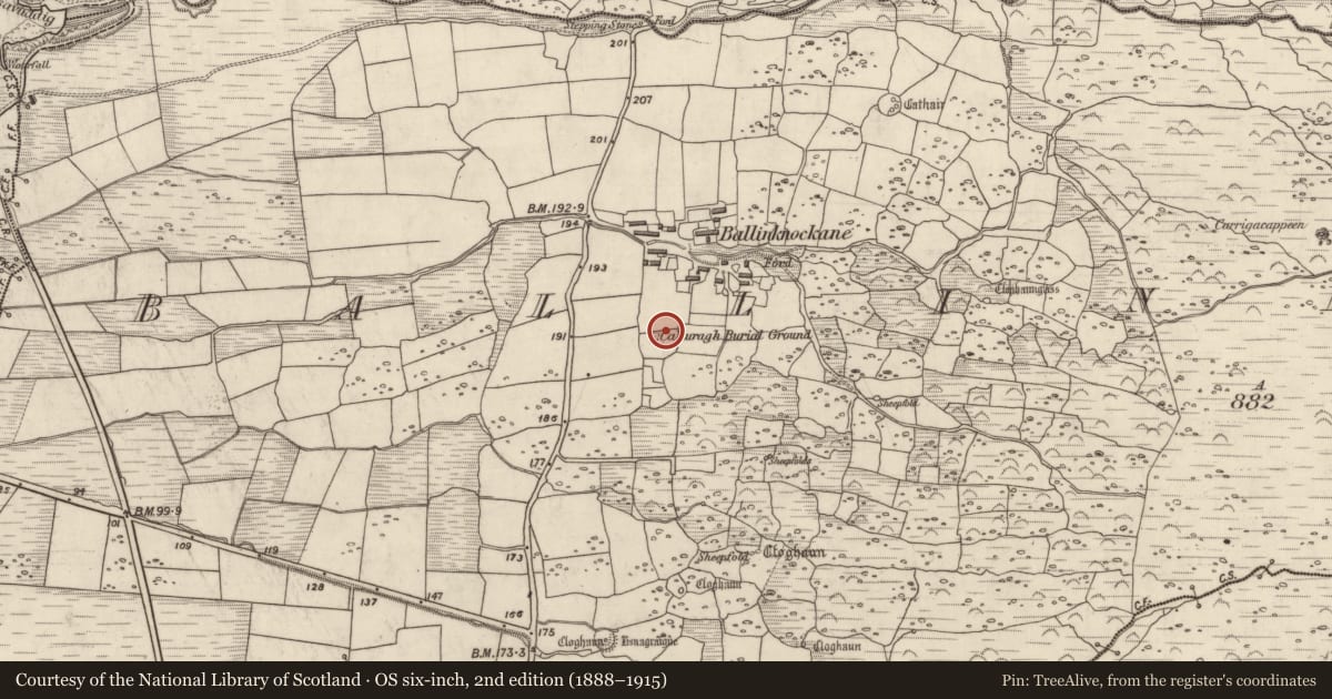 Ordnance Survey six-inch map, 2nd edition (1888–1915) covering the location of Church, Baile An Chnocáin (TC Cill Chuain), County Kerry, with a pin at the register's coordinates