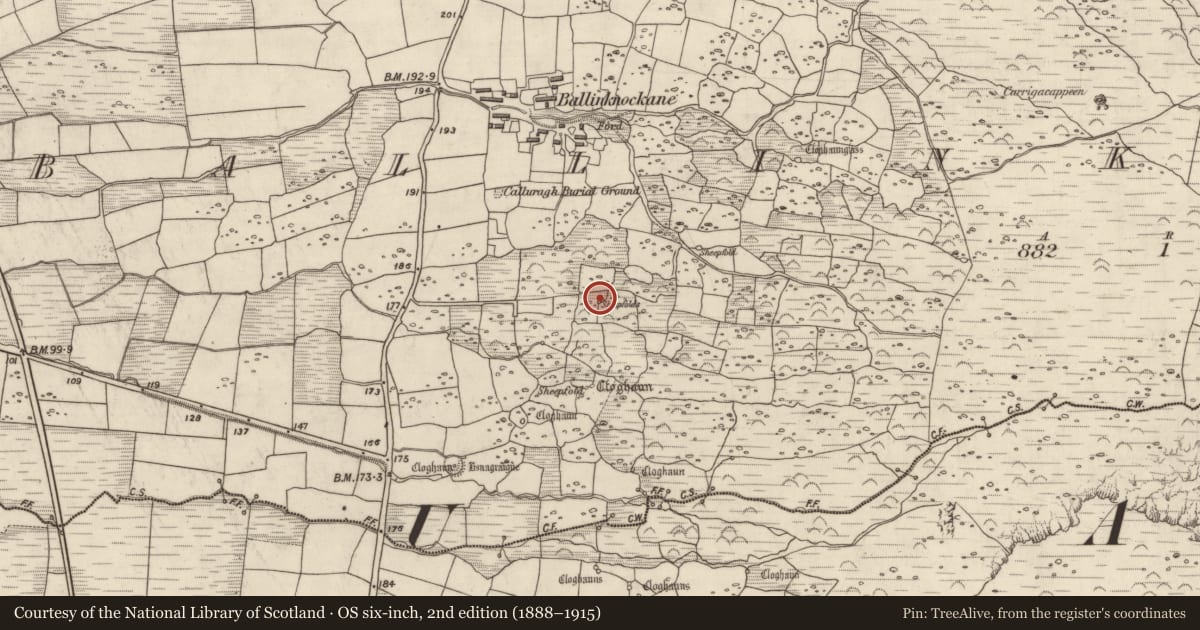 Ordnance Survey six-inch map, 2nd edition (1888–1915) covering the location of Hut site, Baile An Chnocáin (TC Cill Chuain), County Kerry, with a pin at the register's coordinates