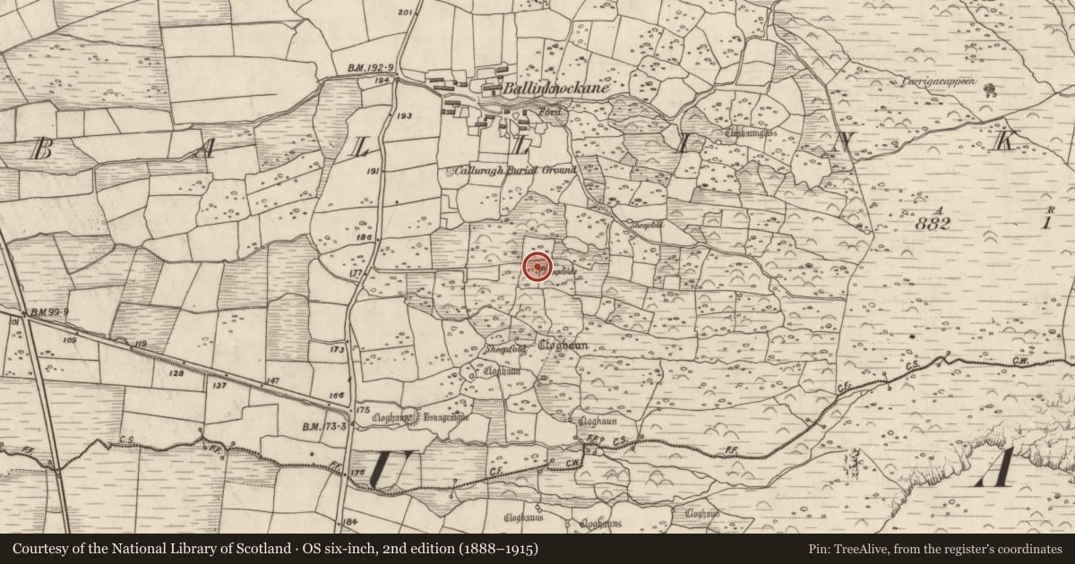 Ordnance Survey six-inch map, 2nd edition (1888–1915) covering the location of Hut site, Baile An Chnocáin (TC Cill Chuain), County Kerry, with a pin at the register's coordinates