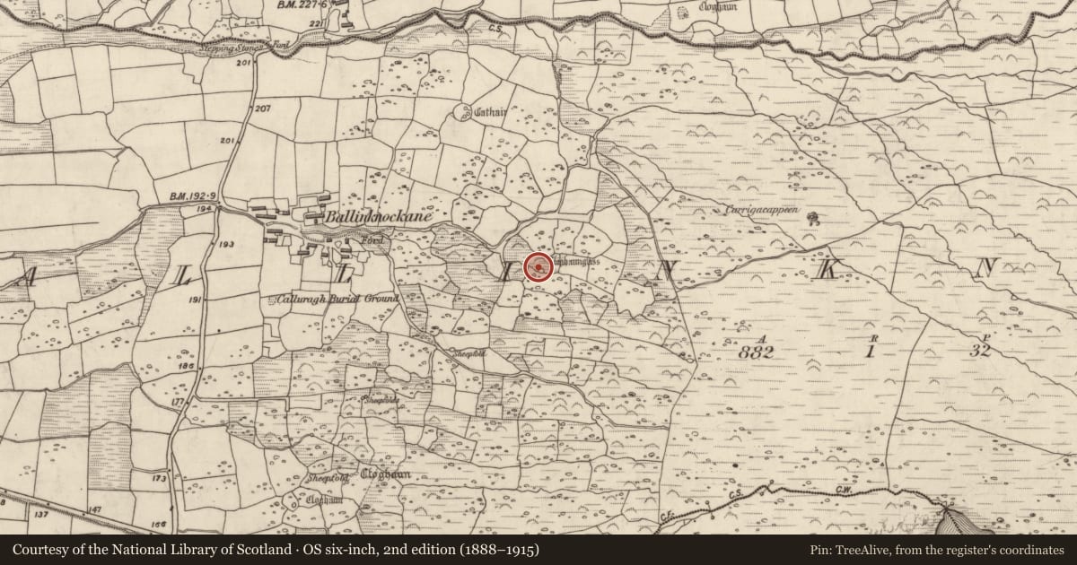 Ordnance Survey six-inch map, 2nd edition (1888–1915) covering the location of Hut site, Baile An Chnocáin (TC Cill Chuain), County Kerry, with a pin at the register's coordinates