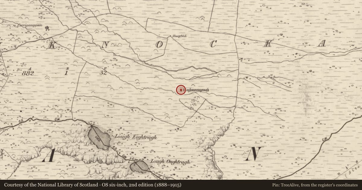 Ordnance Survey six-inch map, 2nd edition (1888–1915) covering the location of Hut site, Baile An Chnocáin (TC Cill Chuain), County Kerry, with a pin at the register's coordinates
