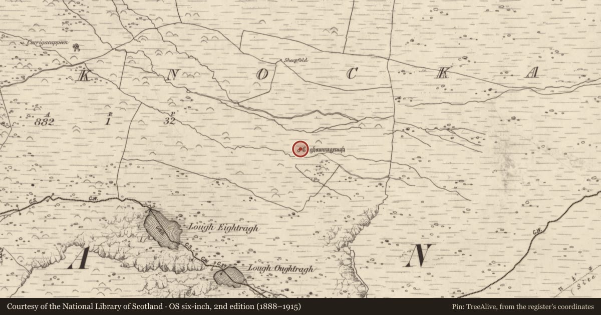 Ordnance Survey six-inch map, 2nd edition (1888–1915) covering the location of Enclosure, Baile An Chnocáin (TC Cill Chuain), County Kerry, with a pin at the register's coordinates