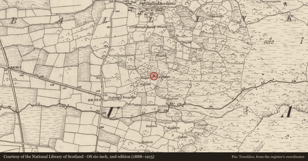 Ordnance Survey six-inch map, 2nd edition (1888–1915) covering the location of Hut site, Baile An Chnocáin (TC Cill Chuain), County Kerry, with a pin at the register's coordinates