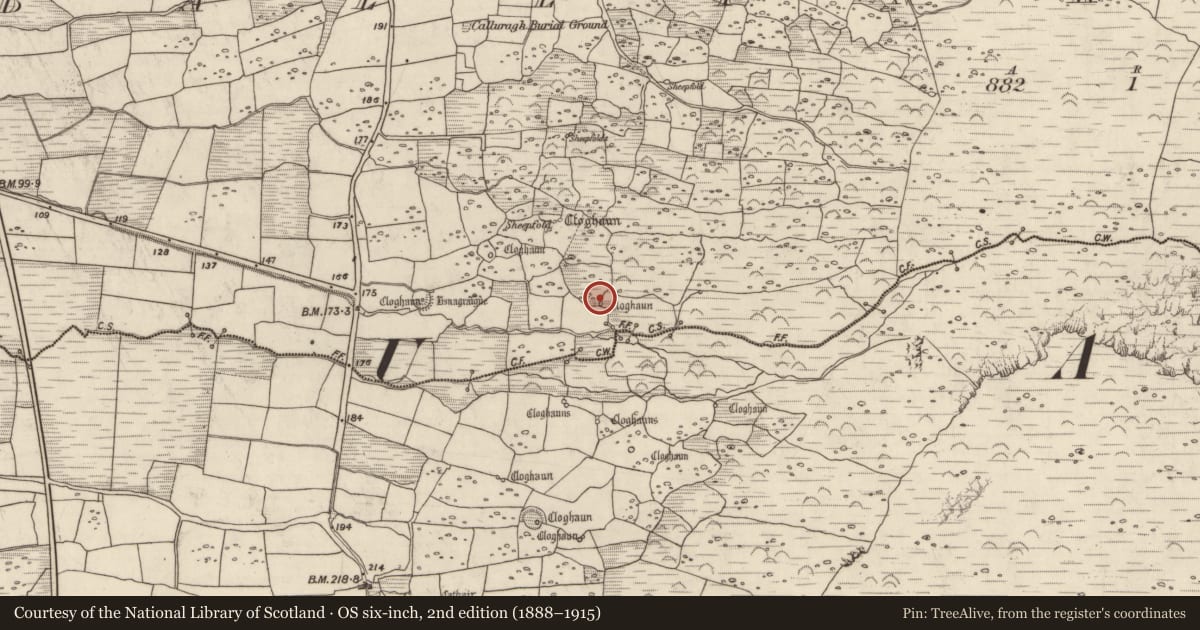 Ordnance Survey six-inch map, 2nd edition (1888–1915) covering the location of Hut site, Baile An Chnocáin (TC Cill Chuain), County Kerry, with a pin at the register's coordinates
