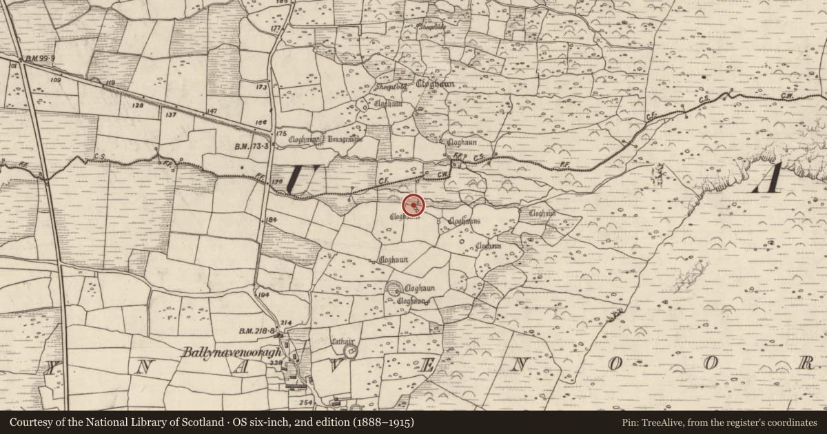 Ordnance Survey six-inch map, 2nd edition (1888–1915) covering the location of Hut site, Baile Na Bhfionnúrach, County Kerry, with a pin at the register's coordinates