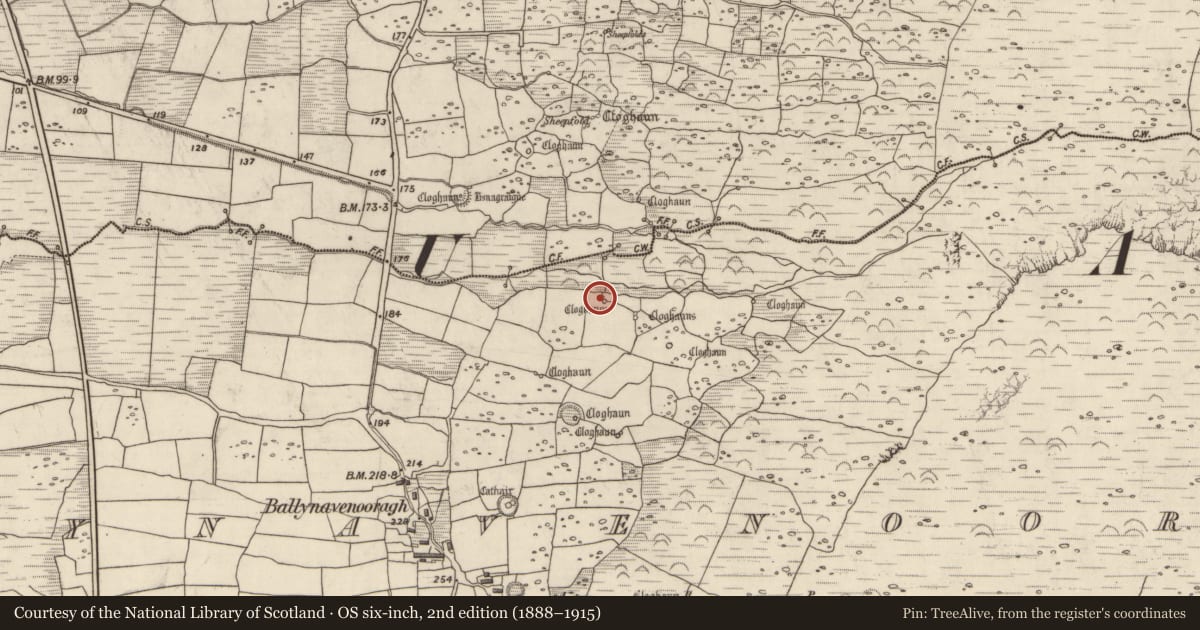 Ordnance Survey six-inch map, 2nd edition (1888–1915) covering the location of Souterrain, Baile Na Bhfionnúrach, County Kerry, with a pin at the register's coordinates
