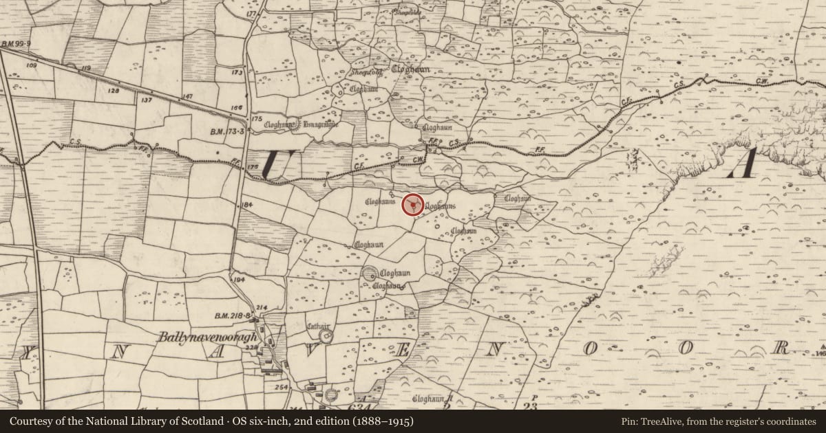 Ordnance Survey six-inch map, 2nd edition (1888–1915) covering the location of Hut site, Baile Na Bhfionnúrach, County Kerry, with a pin at the register's coordinates
