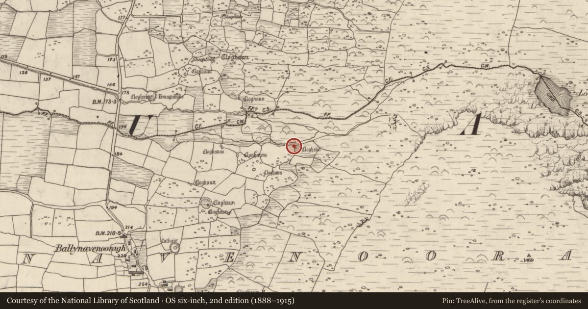 Ordnance Survey six-inch map, 2nd edition (1888–1915) covering the location of Hut site, Baile Na Bhfionnúrach, County Kerry, with a pin at the register's coordinates