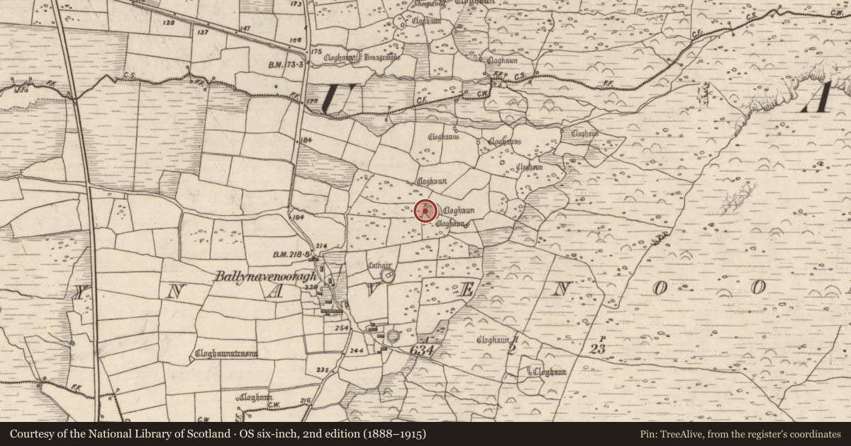Ordnance Survey six-inch map, 2nd edition (1888–1915) covering the location of Hut site, Baile Na Bhfionnúrach, County Kerry, with a pin at the register's coordinates