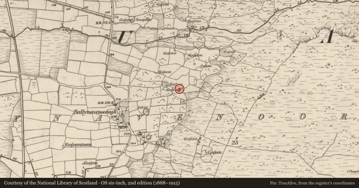 Ordnance Survey six-inch map, 2nd edition (1888–1915) covering the location of Hut site, Baile Na Bhfionnúrach, County Kerry, with a pin at the register's coordinates