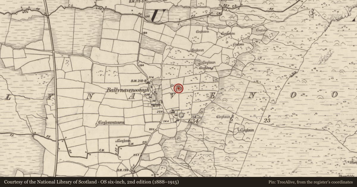 Ordnance Survey six-inch map, 2nd edition (1888–1915) covering the location of Ringfort - cashel, Baile Na Bhfionnúrach, County Kerry, with a pin at the register's coordinates