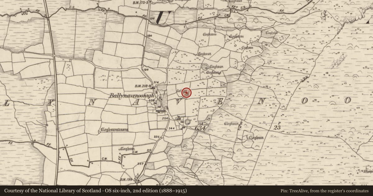 Ordnance Survey six-inch map, 2nd edition (1888–1915) covering the location of Souterrain, Baile Na Bhfionnúrach, County Kerry, with a pin at the register's coordinates