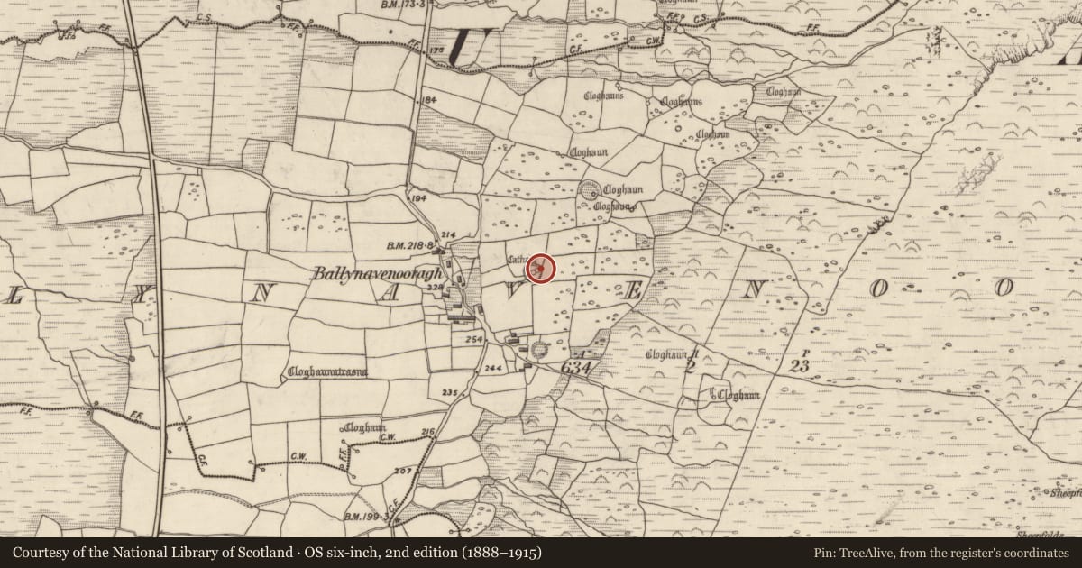 Ordnance Survey six-inch map, 2nd edition (1888–1915) covering the location of Clochan, Baile Na Bhfionnúrach, County Kerry, with a pin at the register's coordinates