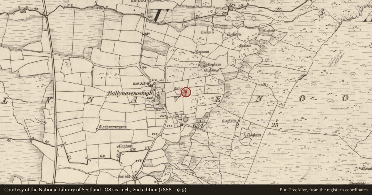Ordnance Survey six-inch map, 2nd edition (1888–1915) covering the location of Clochan, Baile Na Bhfionnúrach, County Kerry, with a pin at the register's coordinates