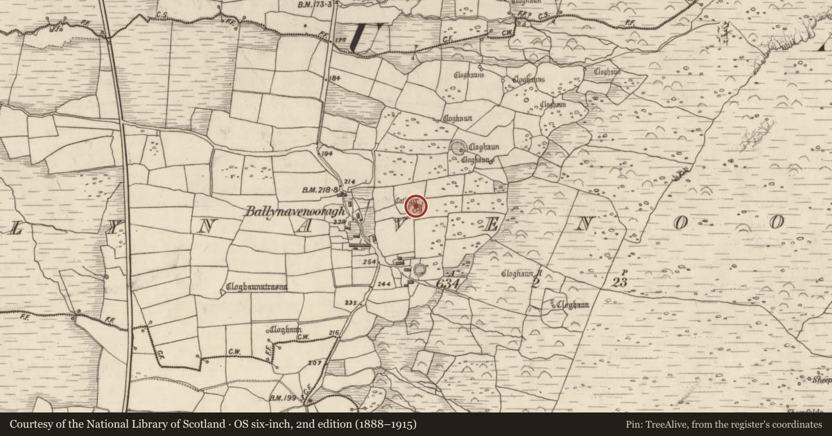 Ordnance Survey six-inch map, 2nd edition (1888–1915) covering the location of Hut site, Baile Na Bhfionnúrach, County Kerry, with a pin at the register's coordinates