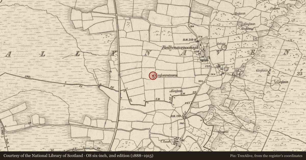 Ordnance Survey six-inch map, 2nd edition (1888–1915) covering the location of Hut site, Baile Na Bhfionnúrach, County Kerry, with a pin at the register's coordinates