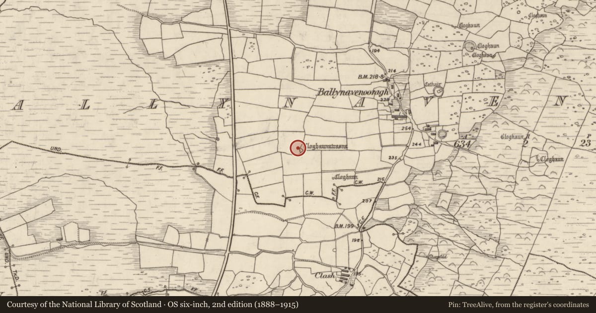 Ordnance Survey six-inch map, 2nd edition (1888–1915) covering the location of Hut site, Baile Na Bhfionnúrach, County Kerry, with a pin at the register's coordinates