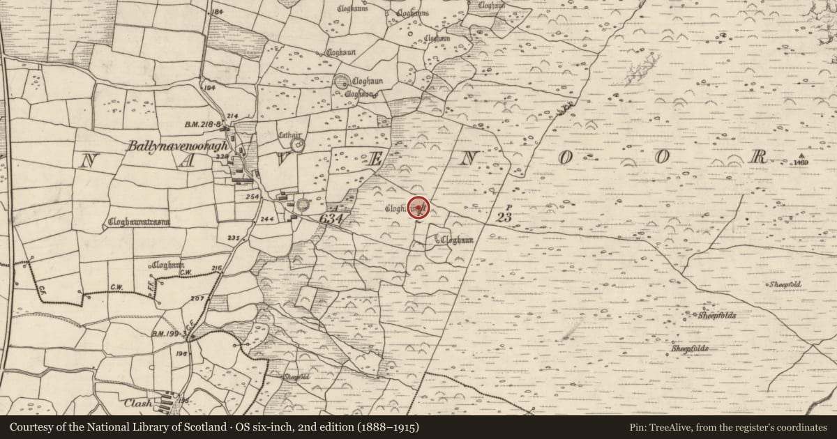 Ordnance Survey six-inch map, 2nd edition (1888–1915) covering the location of Hut site, Baile Na Bhfionnúrach, County Kerry, with a pin at the register's coordinates