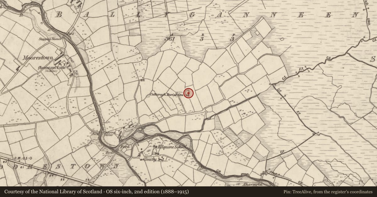Ordnance Survey six-inch map, 2nd edition (1888–1915) covering the location of Ringfort - rath, Baile Ghainín, County Kerry, with a pin at the register's coordinates