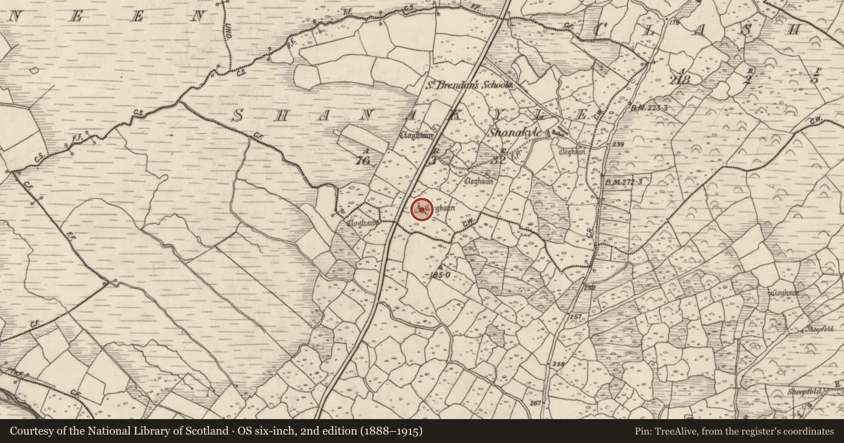 Ordnance Survey six-inch map, 2nd edition (1888–1915) covering the location of Hut site, An Tseanchoill, County Kerry, with a pin at the register's coordinates