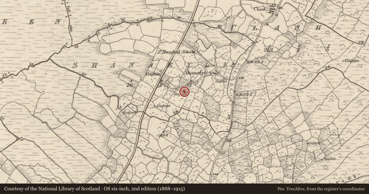 Ordnance Survey six-inch map, 2nd edition (1888–1915) covering the location of Hut site, An Tseanchoill, County Kerry, with a pin at the register's coordinates