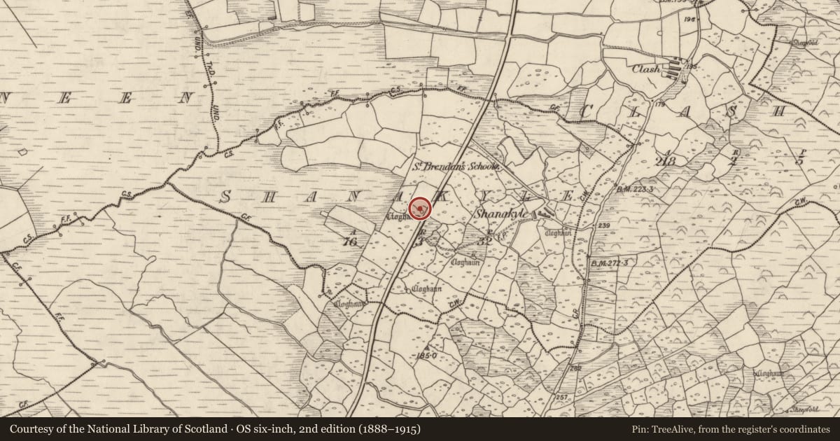 Ordnance Survey six-inch map, 2nd edition (1888–1915) covering the location of Hut site, An Tseanchoill, County Kerry, with a pin at the register's coordinates