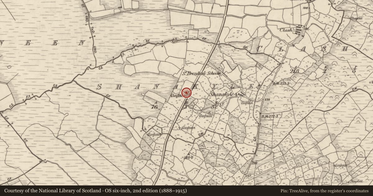 Ordnance Survey six-inch map, 2nd edition (1888–1915) covering the location of Hut site, An Tseanchoill, County Kerry, with a pin at the register's coordinates