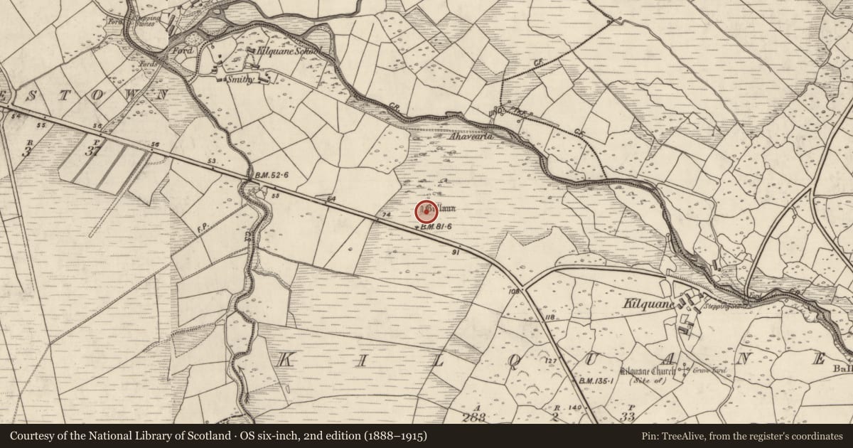 Ordnance Survey six-inch map, 2nd edition (1888–1915) covering the location of Standing stone, Cill Chuáin, County Kerry, with a pin at the register's coordinates