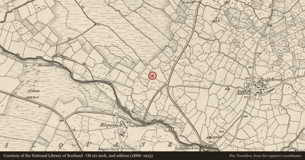 Ordnance Survey six-inch map, 2nd edition (1888–1915) covering the location of Hut site, An Baile Breac, County Kerry, with a pin at the register's coordinates