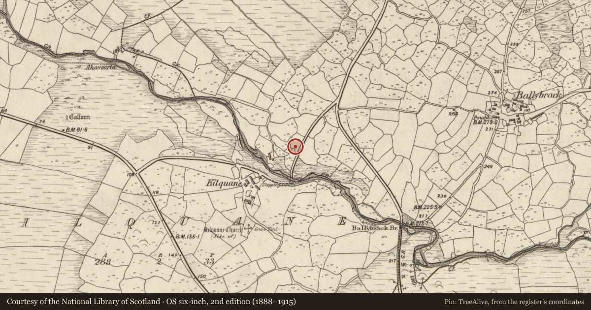 Ordnance Survey six-inch map, 2nd edition (1888–1915) covering the location of Clochan, An Baile Breac, County Kerry, with a pin at the register's coordinates