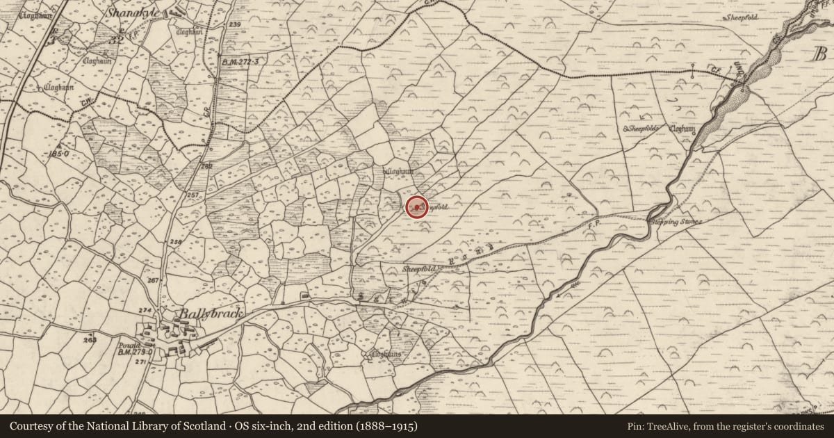 Ordnance Survey six-inch map, 2nd edition (1888–1915) covering the location of Hut site, An Baile Breac, County Kerry, with a pin at the register's coordinates