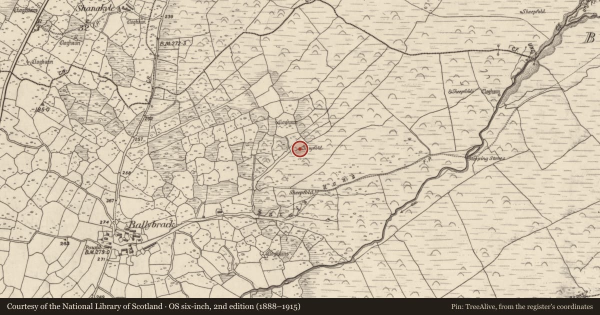 Ordnance Survey six-inch map, 2nd edition (1888–1915) covering the location of Hut site, An Baile Breac, County Kerry, with a pin at the register's coordinates