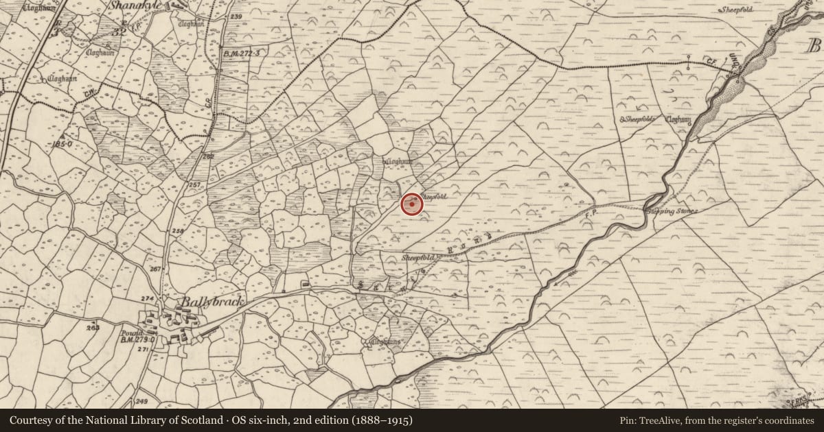 Ordnance Survey six-inch map, 2nd edition (1888–1915) covering the location of Hut site, An Baile Breac, County Kerry, with a pin at the register's coordinates