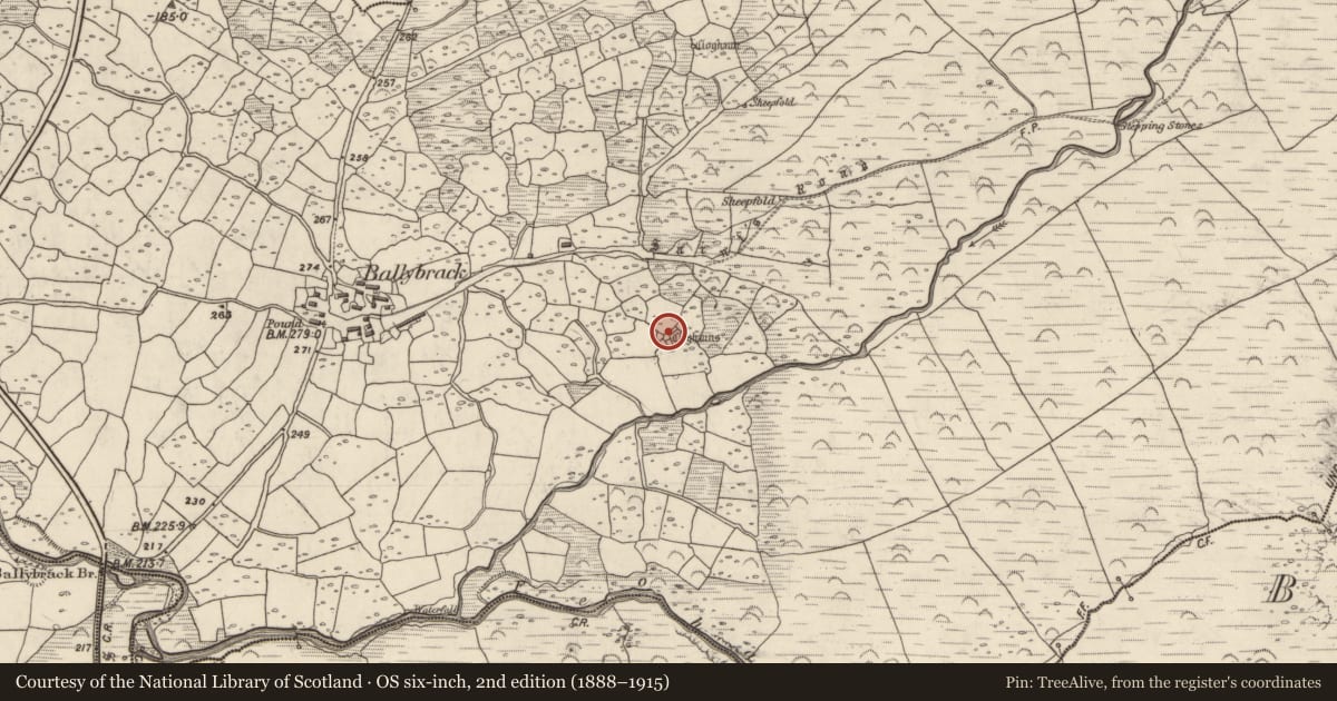Ordnance Survey six-inch map, 2nd edition (1888–1915) covering the location of Hut site, An Baile Breac, County Kerry, with a pin at the register's coordinates