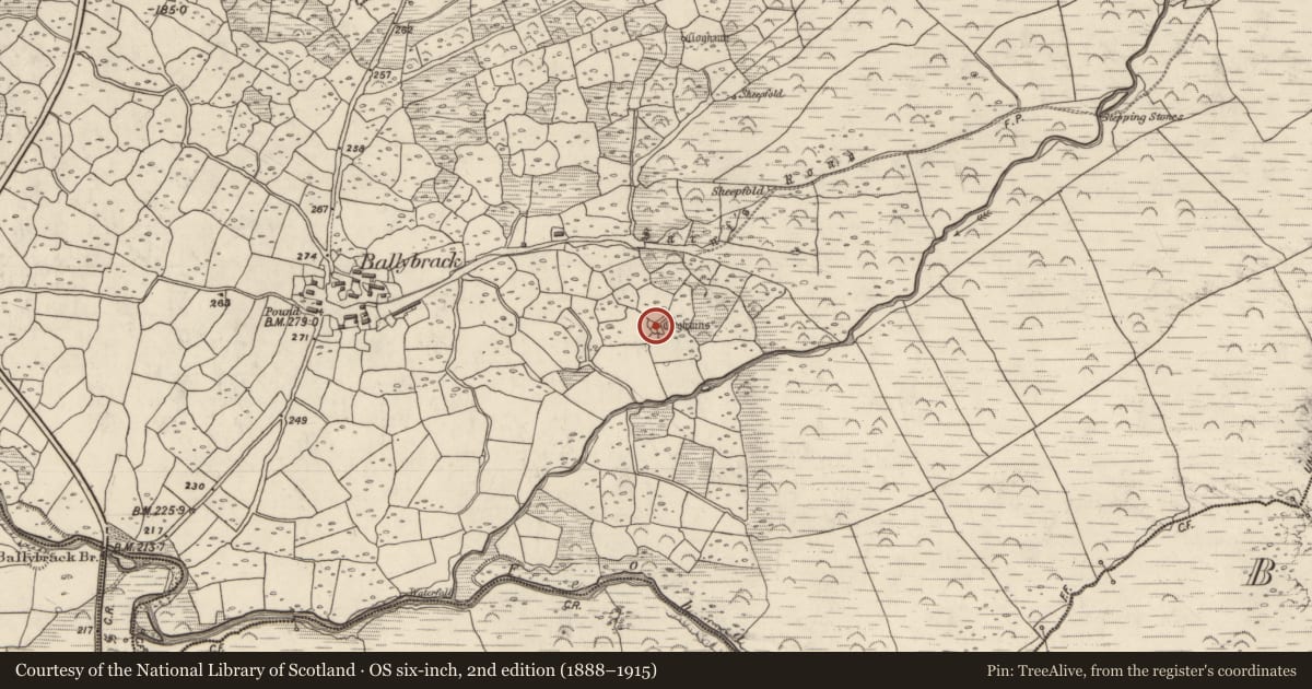 Ordnance Survey six-inch map, 2nd edition (1888–1915) covering the location of Hut site, An Baile Breac, County Kerry, with a pin at the register's coordinates