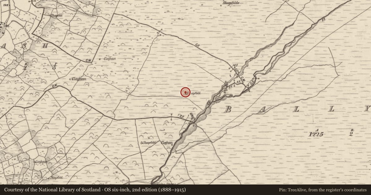 Ordnance Survey six-inch map, 2nd edition (1888–1915) covering the location of Hut site, An Chlais, County Kerry, with a pin at the register's coordinates