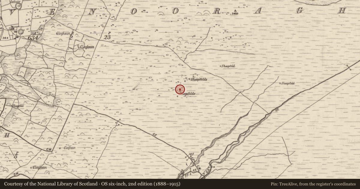 Ordnance Survey six-inch map, 2nd edition (1888–1915) covering the location of Hut site, Baile Na Bhfionnúrach, County Kerry, with a pin at the register's coordinates