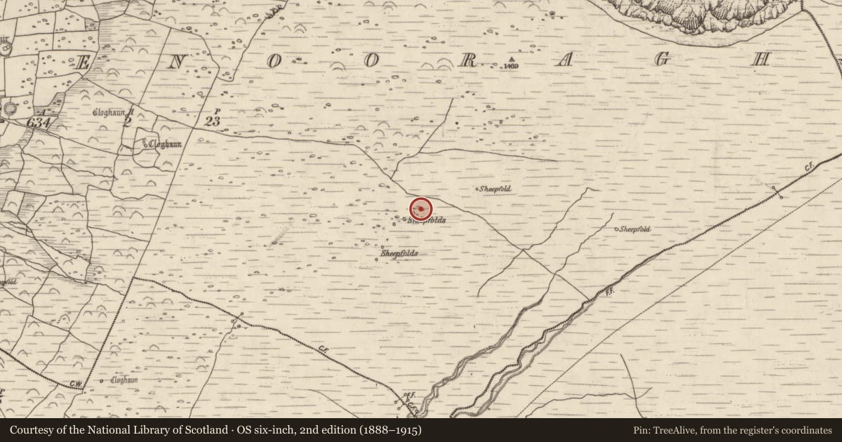 Ordnance Survey six-inch map, 2nd edition (1888–1915) covering the location of Field system, Baile Na Bhfionnúrach, County Kerry, with a pin at the register's coordinates