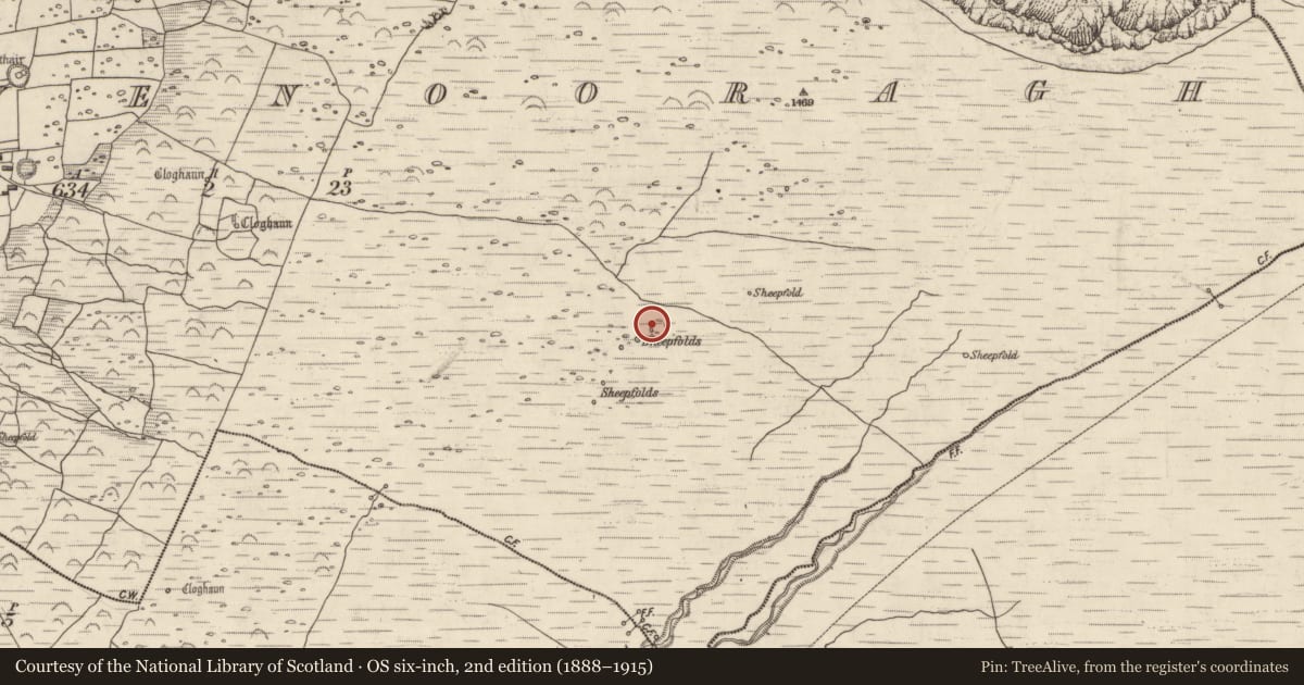 Ordnance Survey six-inch map, 2nd edition (1888–1915) covering the location of Hut site, Baile Na Bhfionnúrach, County Kerry, with a pin at the register's coordinates