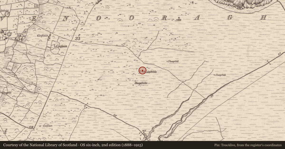 Ordnance Survey six-inch map, 2nd edition (1888–1915) covering the location of Hut site, Baile Na Bhfionnúrach, County Kerry, with a pin at the register's coordinates