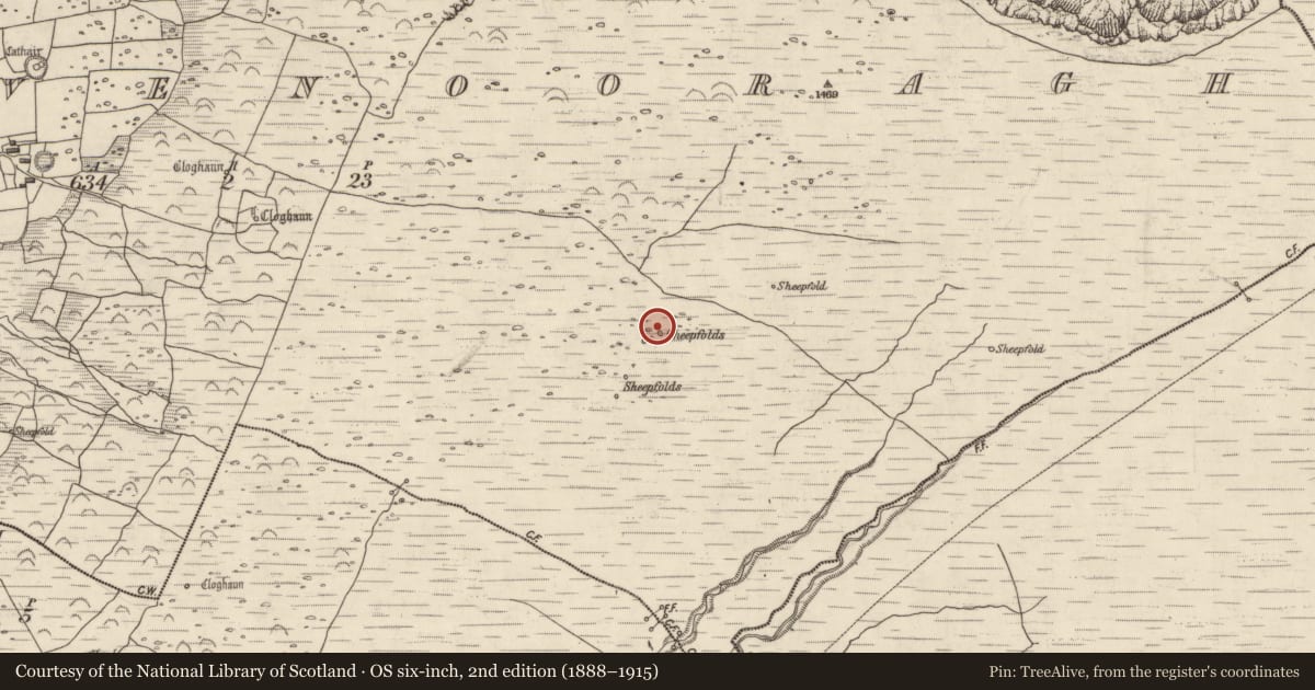 Ordnance Survey six-inch map, 2nd edition (1888–1915) covering the location of Hut site, Baile Na Bhfionnúrach, County Kerry, with a pin at the register's coordinates