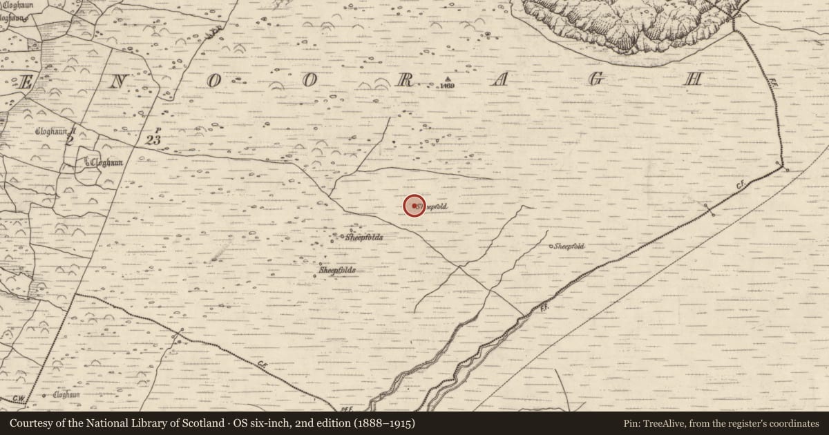 Ordnance Survey six-inch map, 2nd edition (1888–1915) covering the location of Field system, Baile Na Bhfionnúrach, County Kerry, with a pin at the register's coordinates
