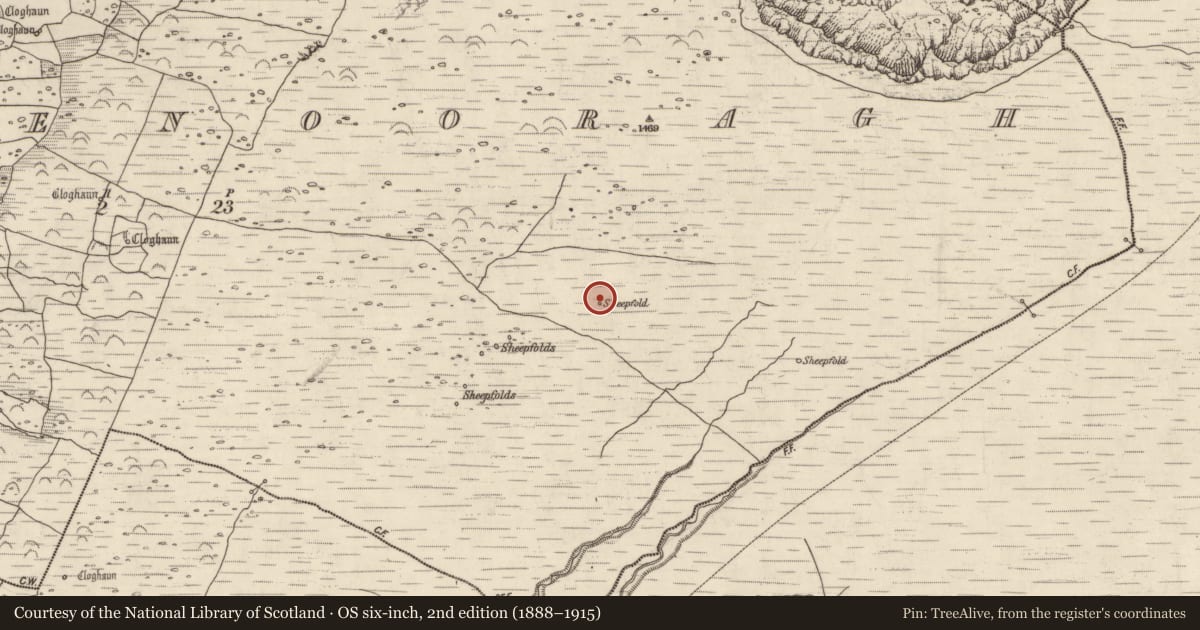 Ordnance Survey six-inch map, 2nd edition (1888–1915) covering the location of Hut site, Baile Na Bhfionnúrach, County Kerry, with a pin at the register's coordinates