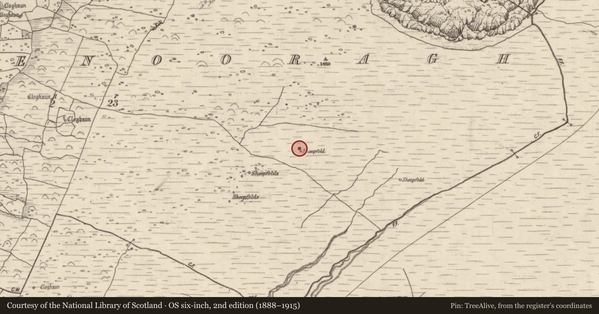 Ordnance Survey six-inch map, 2nd edition (1888–1915) covering the location of Enclosure, Baile Na Bhfionnúrach, County Kerry, with a pin at the register's coordinates