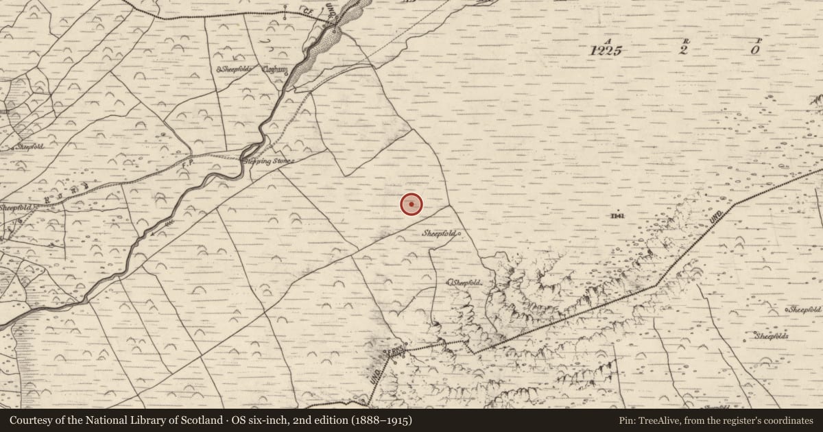Ordnance Survey six-inch map, 2nd edition (1888–1915) covering the location of Hut site, An Baile Breac, County Kerry, with a pin at the register's coordinates