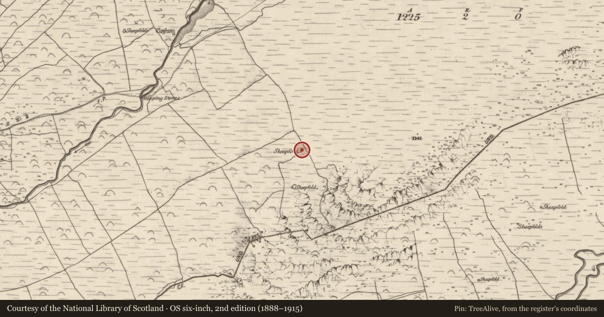 Ordnance Survey six-inch map, 2nd edition (1888–1915) covering the location of Hut site, An Baile Breac, County Kerry, with a pin at the register's coordinates