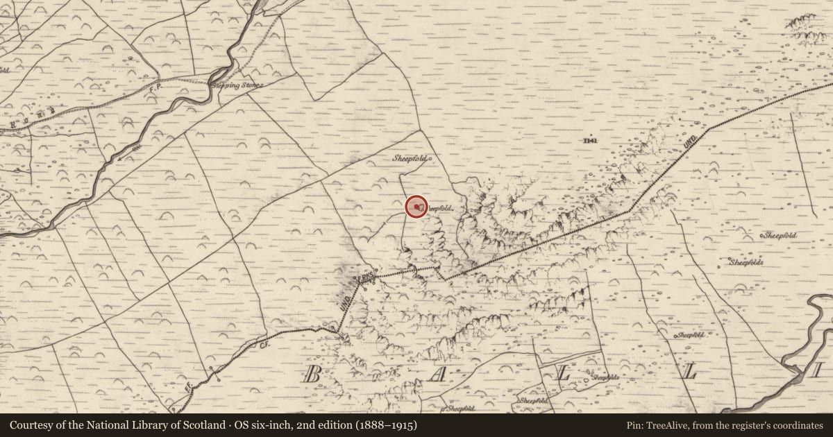 Ordnance Survey six-inch map, 2nd edition (1888–1915) covering the location of Hut site, An Baile Breac, County Kerry, with a pin at the register's coordinates