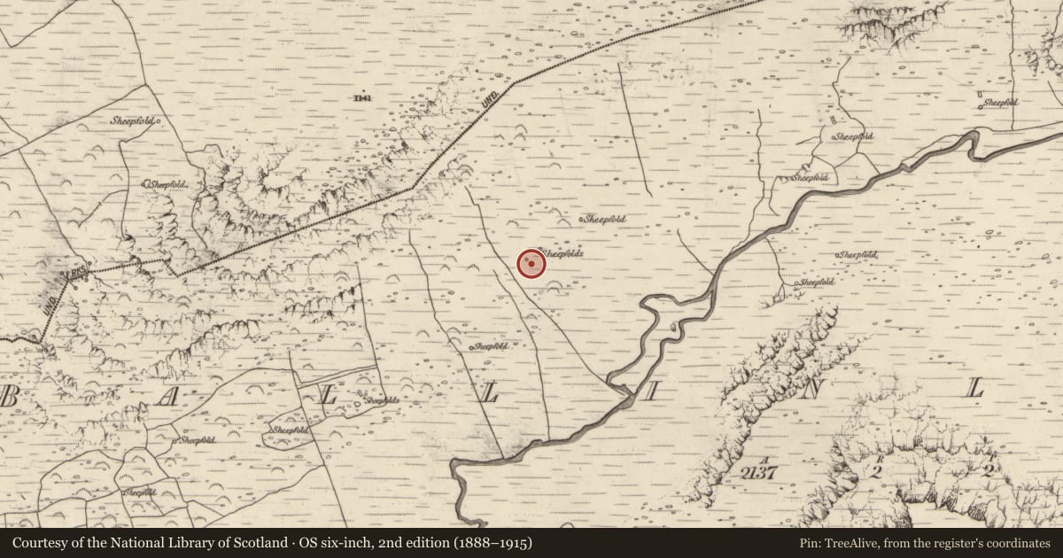 Ordnance Survey six-inch map, 2nd edition (1888–1915) covering the location of Field system, Baile An Lochaigh, County Kerry, with a pin at the register's coordinates